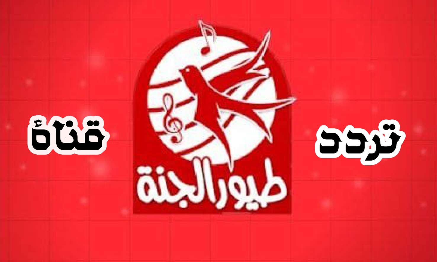 Toyor Al Janah تردد قناة طيور الجنة 2024 ” نزلها الآن بأحدث إشارة على النايل سات”