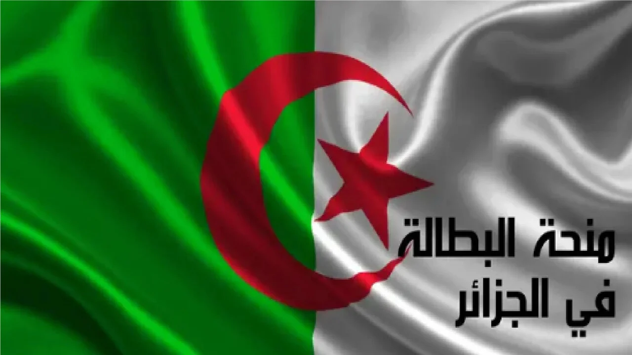 رابط تسجيل منحة البطالة الجزائر 2204 لجميع العاطلين عن العمل