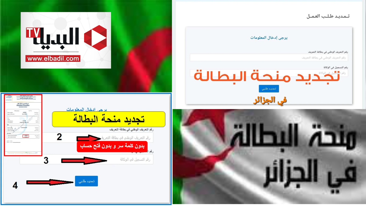 تجديد منحة البطالة في الجزائر 2024 شروط وإجراءات رئيسية تحددها وكالة التشغيل الوطنية
