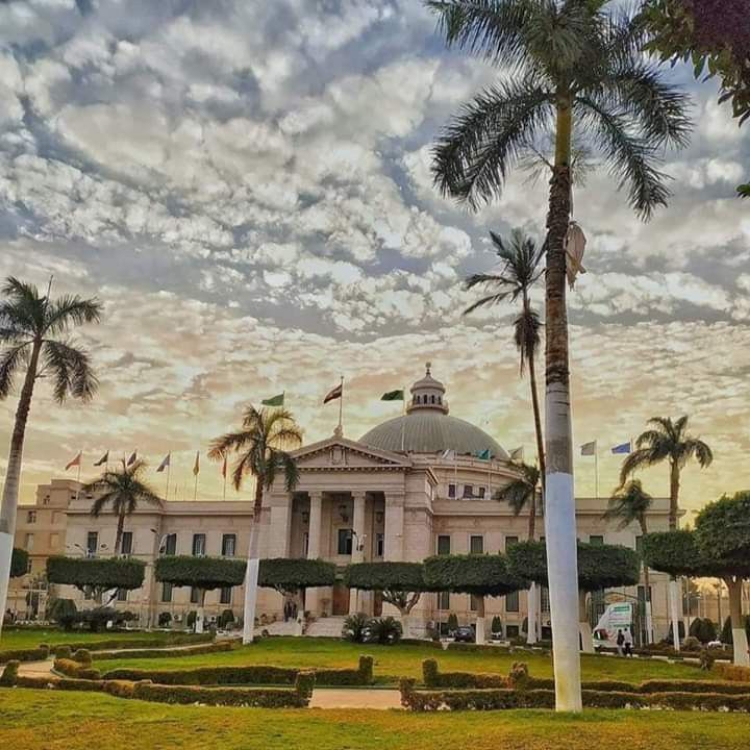 رسميا … موعد بدء التنسيق الالكترونى للقبول بالجامعات والمعاهد المصرية للعام الجامعى 2024