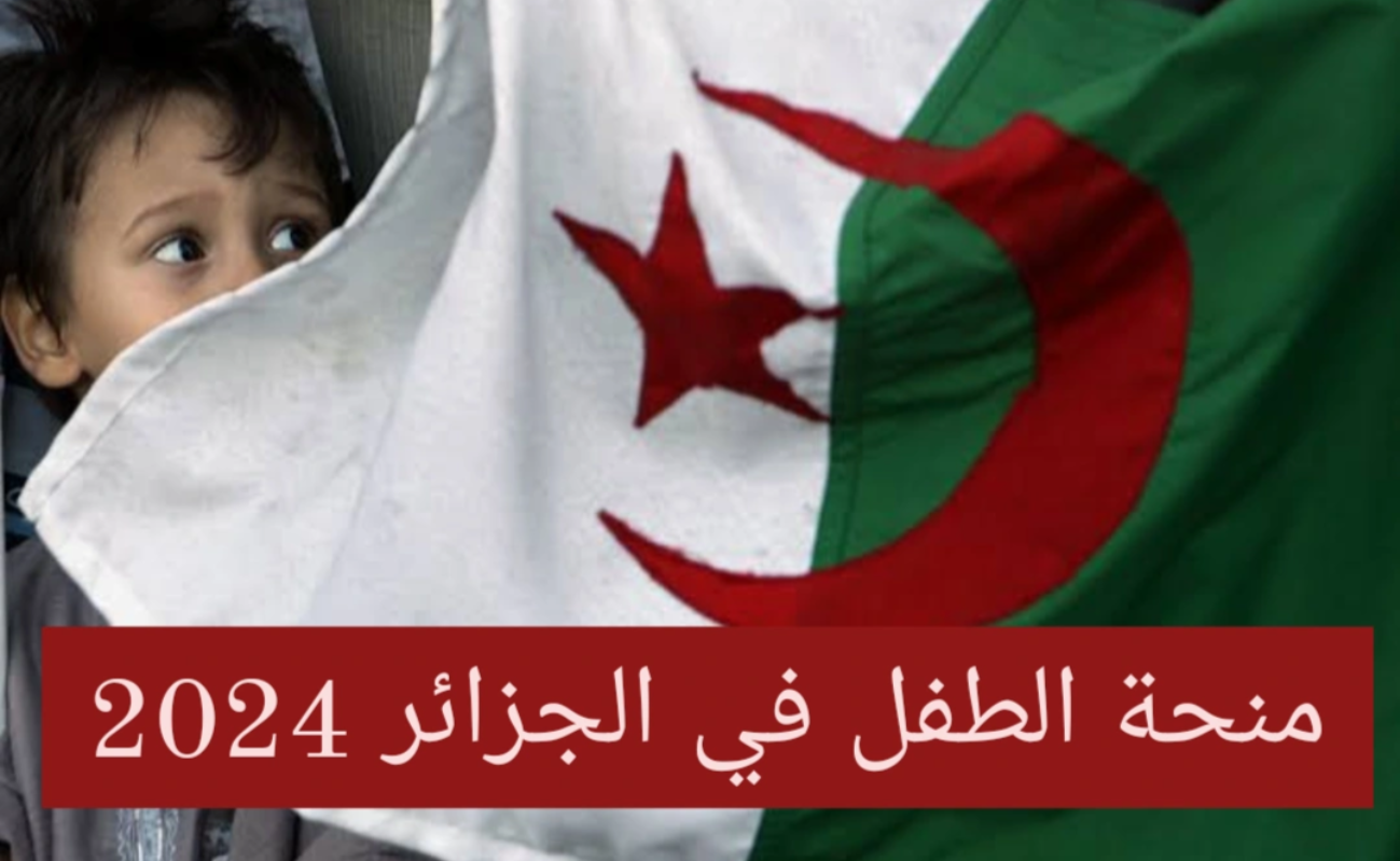 قدم من هنا anem.dz.. اليك كيفية التقديم على منحة الطفل 2024 بالجزائر بالخطوات وما هي الشروط المطلوبة ؟