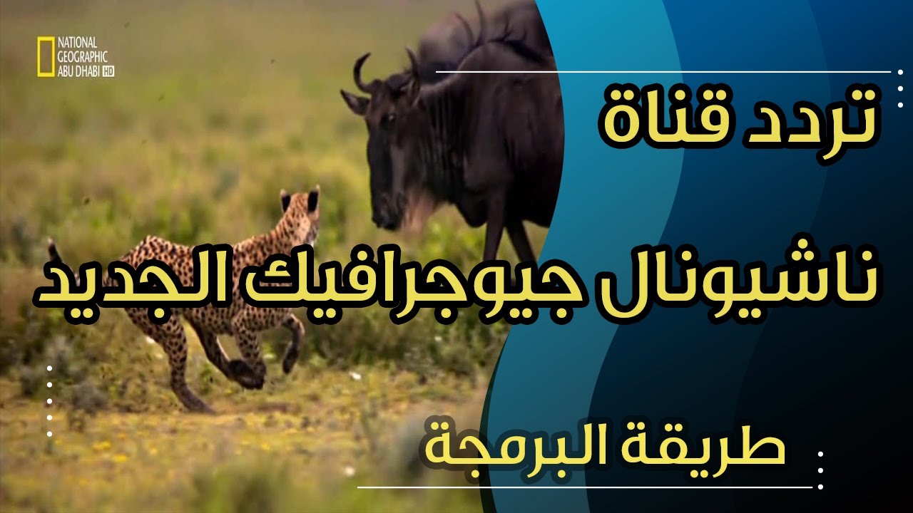 ثقف أولادك .. واستقبل الآن تردد قناة ناشيونال جيوغرافيك 2024 على جهازك