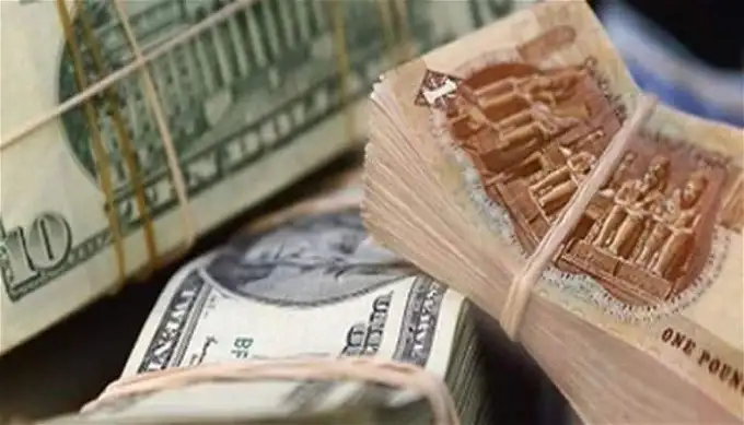 هبوط مفاجئ في سعر الدولار أمام الجنيه الان