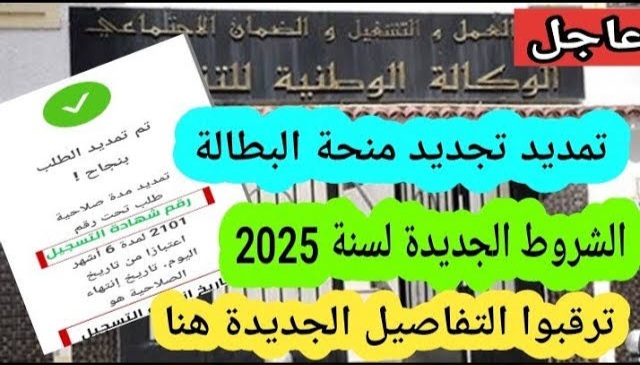بالهاتف ومن المنزل.. خطوات تجديد منحة البطالة 2025 شروط الحصول عليها وأهم الأسباب التي تؤدي لإيقافها