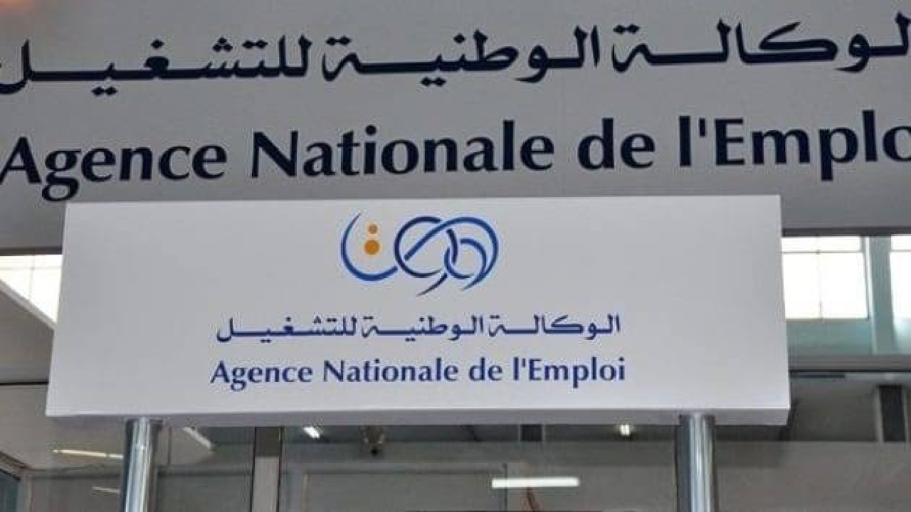ما أسباب رفض تجديد منحة البطالة 2025؟ الوكالة الوطنية للتشغيل توضح