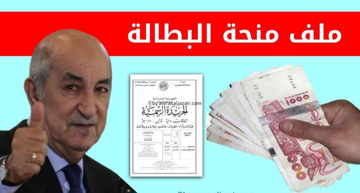 “راتب شهري من بيتك” خطوات التقديم في منحة البطالة بالجزائر 2025 والشروط اللازمة