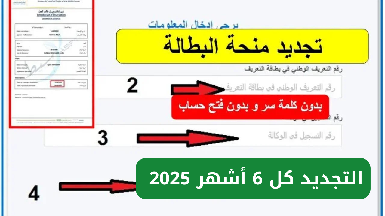 كيفية تجديد منحة البطالة من الهاتف 2025 عبر رابط الوكالة الوطنية للتشغيل minha.anem.dz
