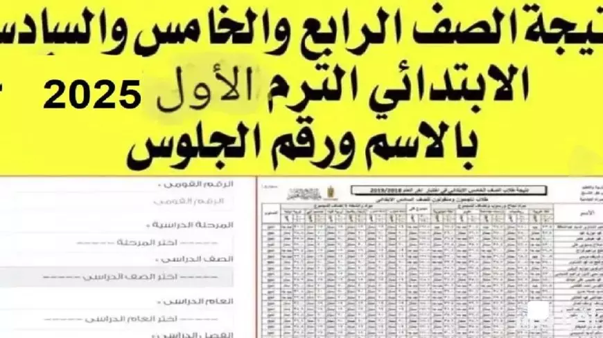 نتيجة الصف الرابع والخامس والسادس الابتدائي 2025 الترم التاني عبر بوابة نتائج التعليم الأساسي للنتائج eduserv.cairo.gov.eg