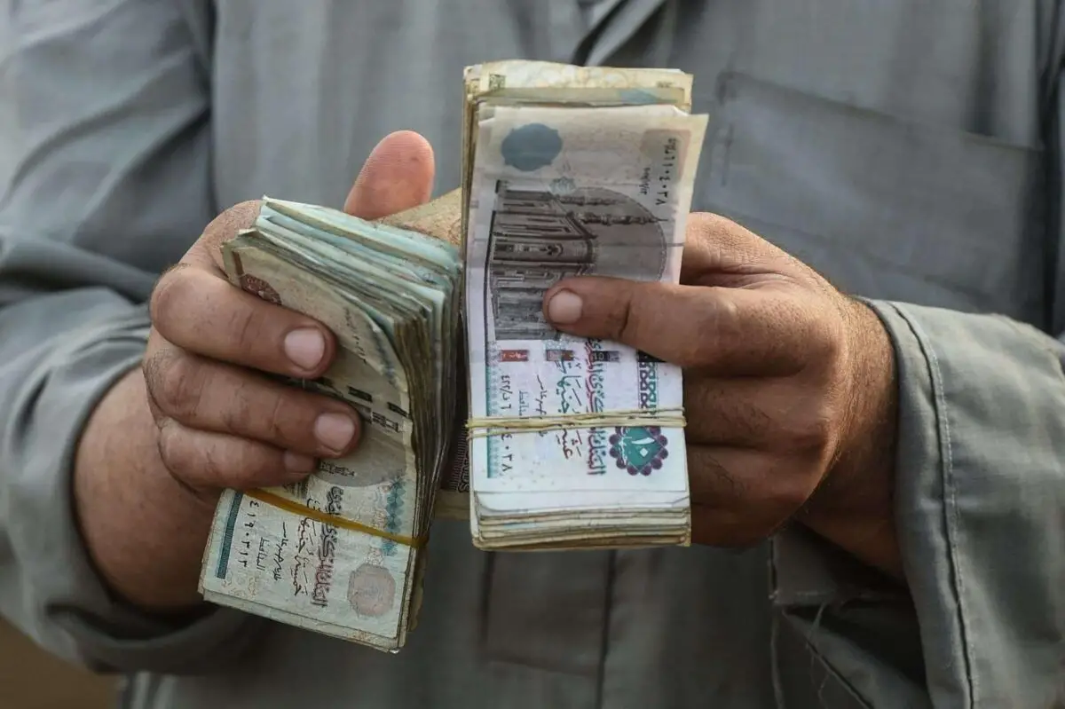 الاستعلام عن معاش تكافل وكرامة إلكترونيا بالرقم القومى فقط