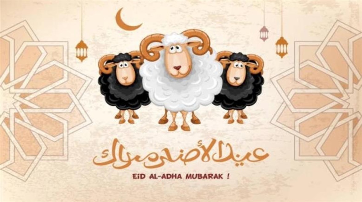 أفضل عبارات تهنئة عيد الأضحى 2025 بالصور والذكاء الاصطناعي.. أرسلها للأهل والأقارب والأصدقاء