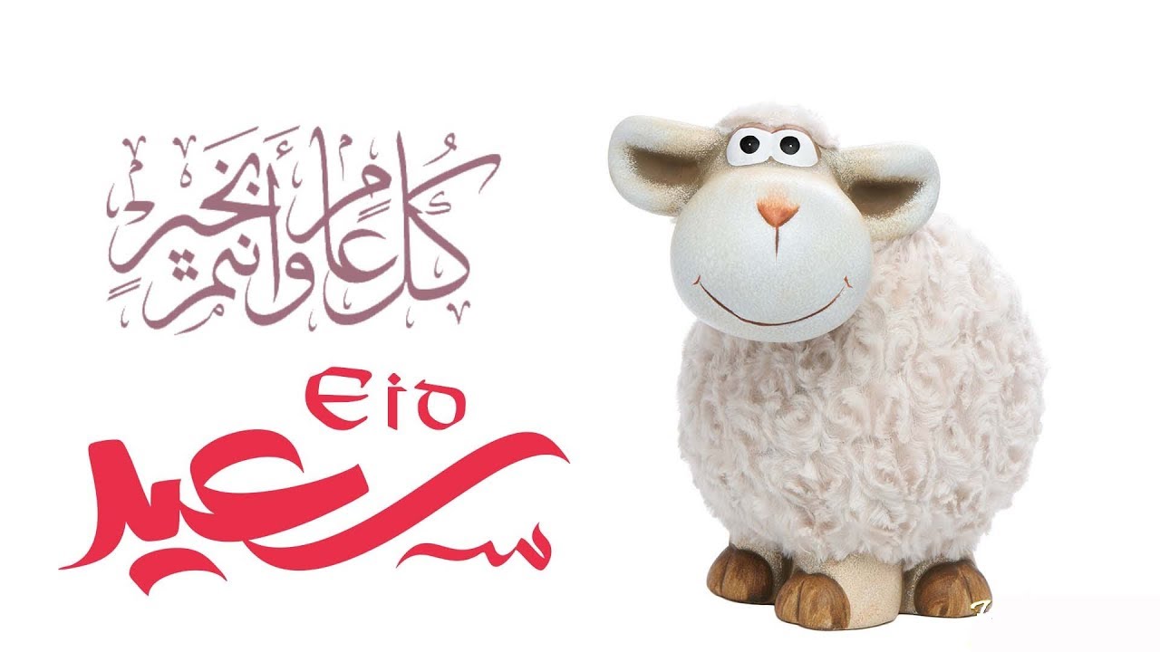 “موعد عيد الأضحى المبارك 2025 يقترب.. أيام معدودة تفصلنا عن أعظم مناسك الإسلام فاستعدوا للتكبير والتضحية وصلة الأرحام في أجواء إيمانية لا تنسى