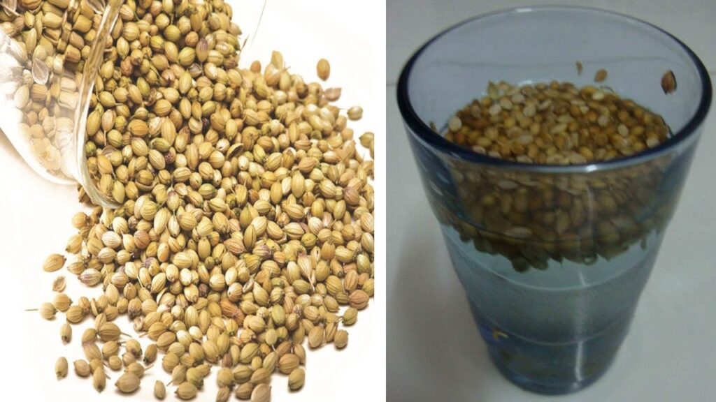 عشبة سماوية جبارة تضبط السكر في الدم